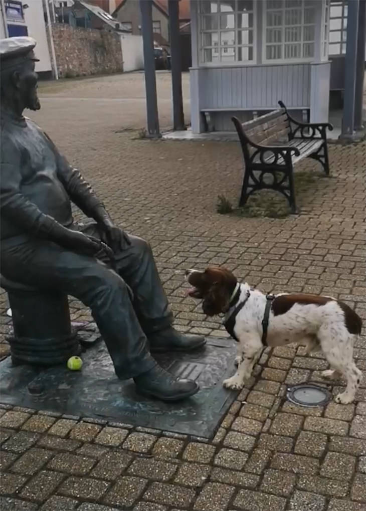 Fotos Muestran Por Qué Los Perros Son Divertidos Perro junto a una estatua