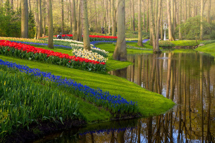 El Jardín De Tulipanes Más Hermoso Del Mundo Tulipanes cerca de un lago