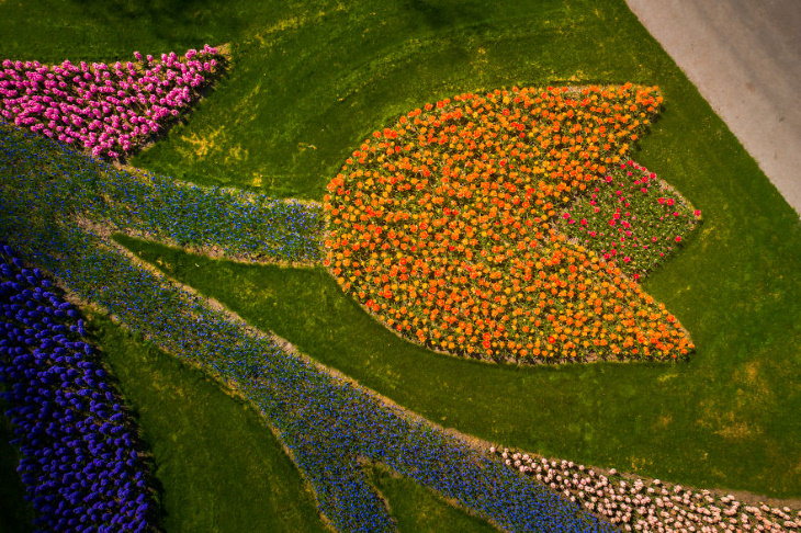 El Jardín De Tulipanes Más Hermoso Del Mundo Figura de tulipán hecha con tulipanes