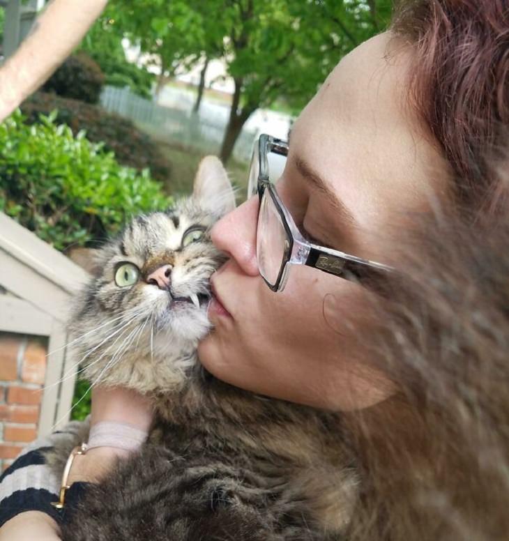 Gatos Que No Quieren Abrazos Dueña besando a su gato