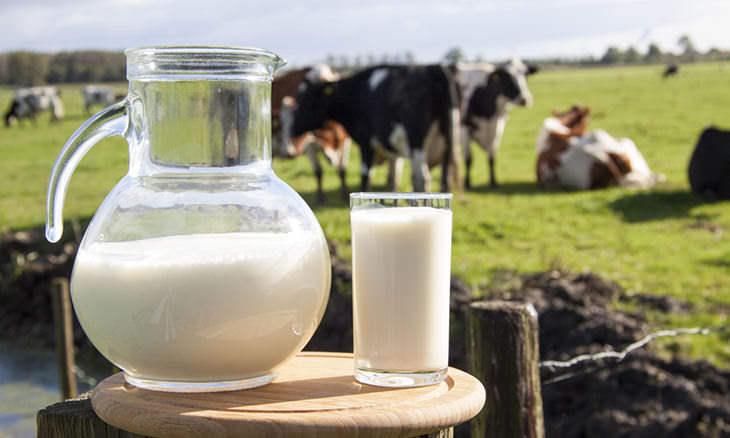 Extraños Experimentos Del Mundo Proteínas humanas en la leche de vaca