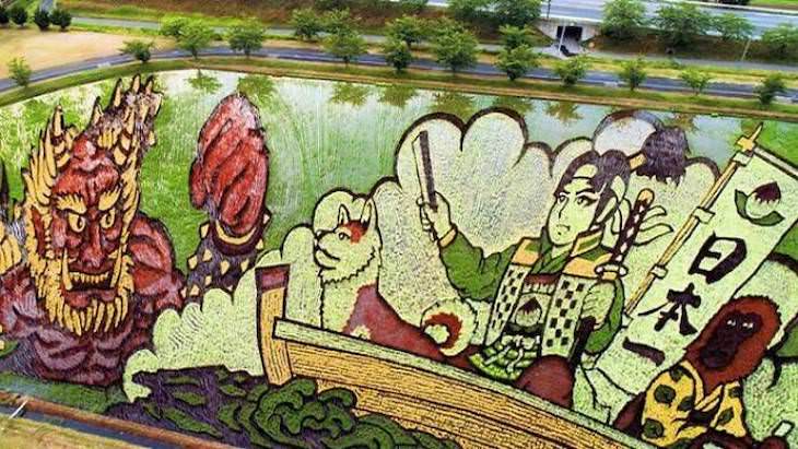 3. Este es un arrozal. Los agricultores de Japón plantan especies de arroz específicas para hacer estas increíbles obras de arte.