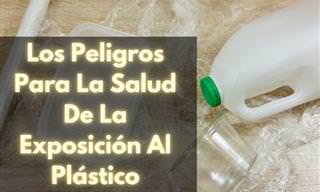 7 Posts Sobre Las Botellas De Plástico