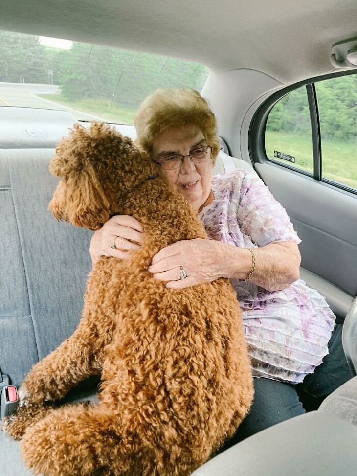 Fotos Que Nos Demuestran Por Qué Los Abuelos Son Fantásticos Abuela y perro en el auto
