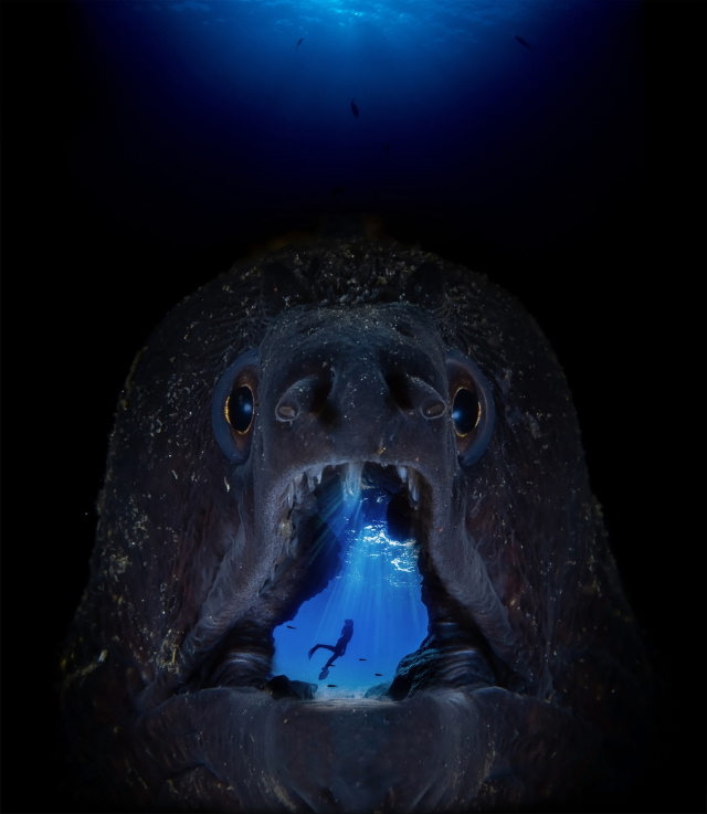 Fotos Ganadoras De Las Maravillas Del Océano El ganador de la categoría Arte fotográfico digital del océano: una imagen editada de una morena