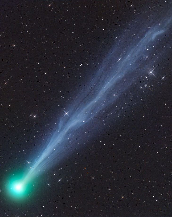  Finalistas Del Concurso De Fotografía De Astronomía Del Año La cola de iones excepcionalmente activa del cometa 2020F8 SWAN, por Gerald Rhemann de Austria