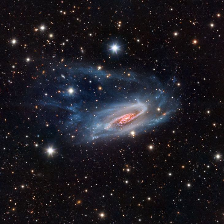  Finalistas Del Concurso De Fotografía De Astronomía Del Año NGC 3981, de Bernard Miller de los EE. UU.