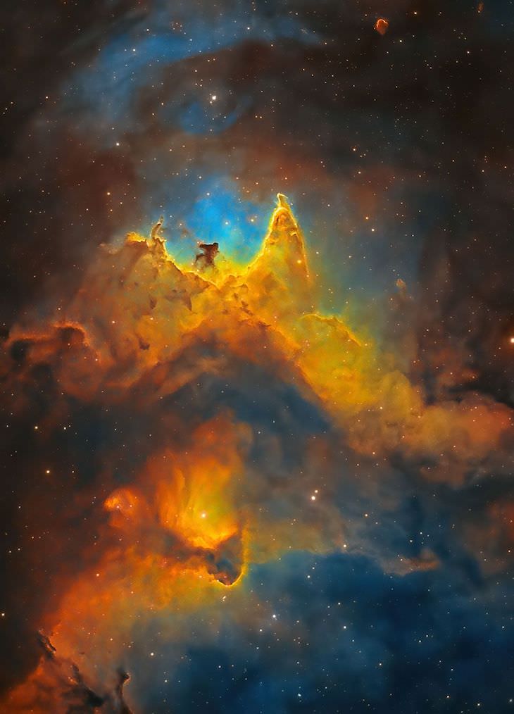  Finalistas Del Concurso De Fotografía De Astronomía Del Año  El alma del espacio (primer plano de la nebulosa del alma), por Kush Chandaria del Reino Unido