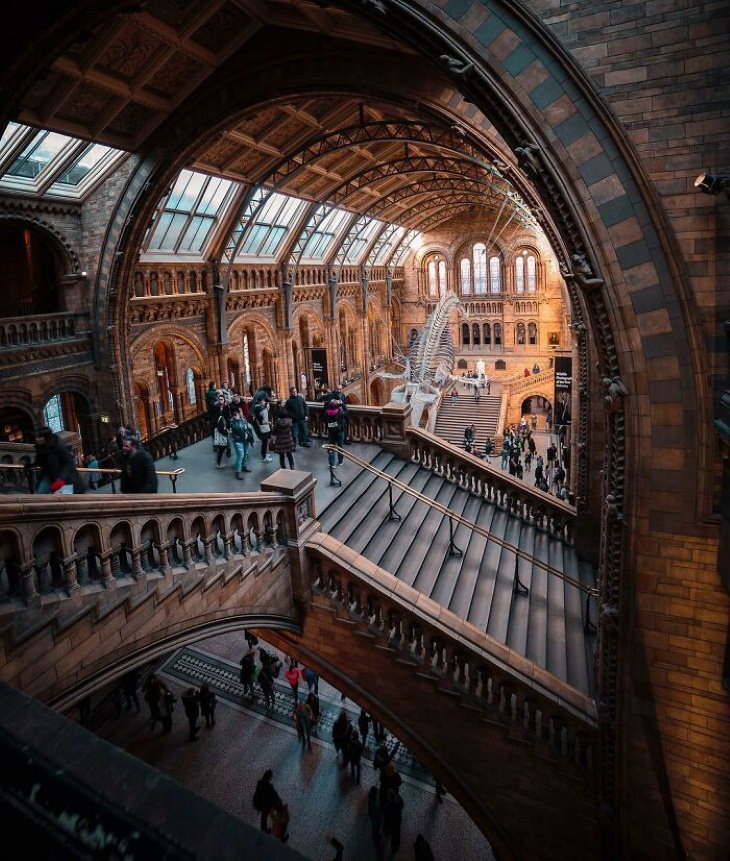 19 Lugares Espectaculares Del Planeta Tierra Museo de Historia Natural, Londres, Reino Unido