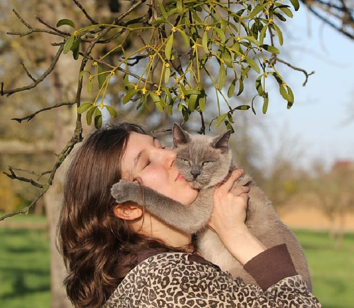 Estudio Demuestra El Vínculo Afectivo Entre Los Gatos y Sus Dueños Mujer besando a su gato