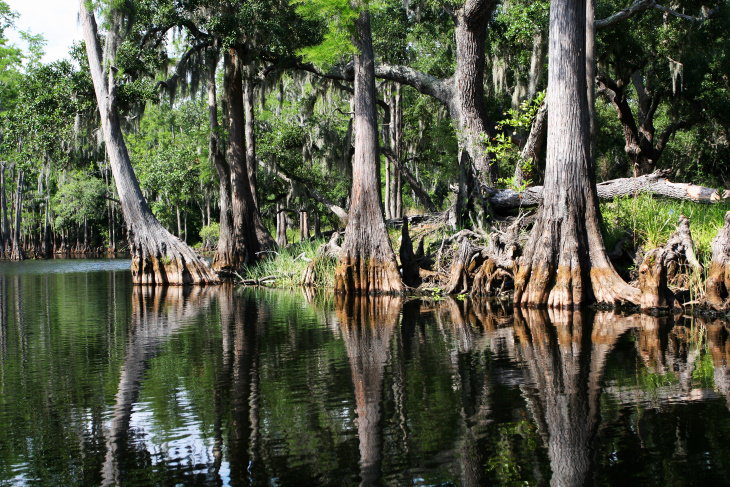 15 Parques Nacionales De Fama Mundial Parque Nacional Everglades, Florida