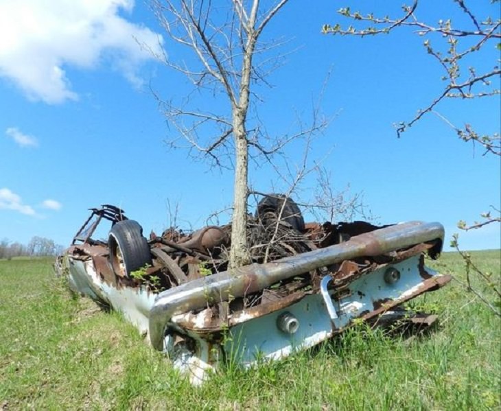 3. Este coche abandonado ha sido recuperado por la naturaleza.