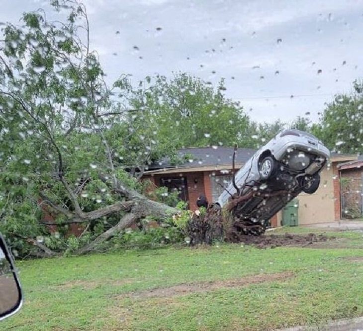 4. "Una tormenta derribó un árbol cuyas raíces levantaron el automóvil estacionado junto a él".