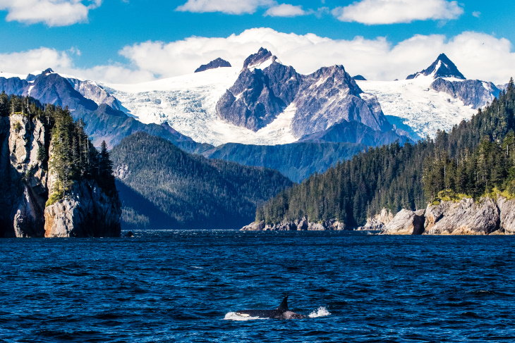  15 Parques Nacionales De Fama Mundial Parque Nacional de los Fiordos de Kenai, Alaska