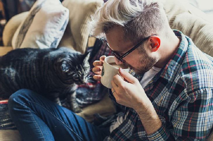 Estudio Demuestra El Vínculo Afectivo Entre Los Gatos y Sus Dueños Hombre bebiendo café y su gato