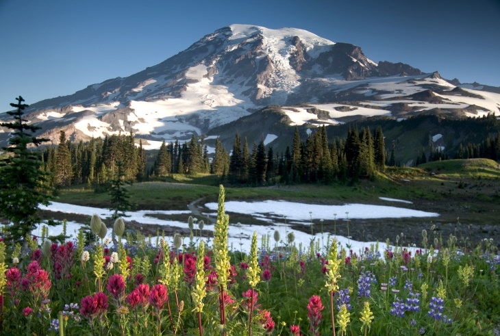 15 Parques Nacionales De Fama Mundial Mt. Parque Nacional Rainier, Washington