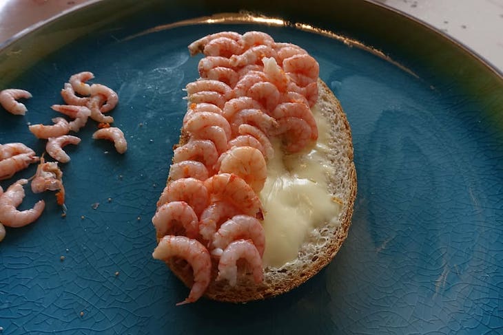 11. Un sándwich de camarones abierto es un bocadillo común en Noruega. Se toma un trozo de pan blanco, se le pone un poco de mayonesa y se le pone encima camarones pelados. Por último, exprima un poco de jugo de limón y agregue un poco de perejil encima, si lo desea.