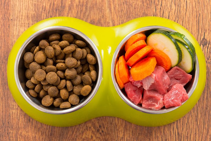 Consejos Para Ahorrar Dinero En El Cuidado De Las Mascota Elige alimentos genéricos para mascotas