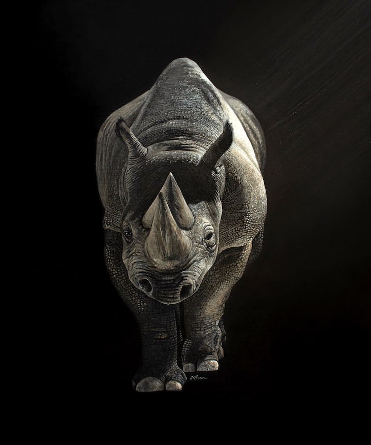 Retratos De Animales Por Sophie Green bison rinoceronte