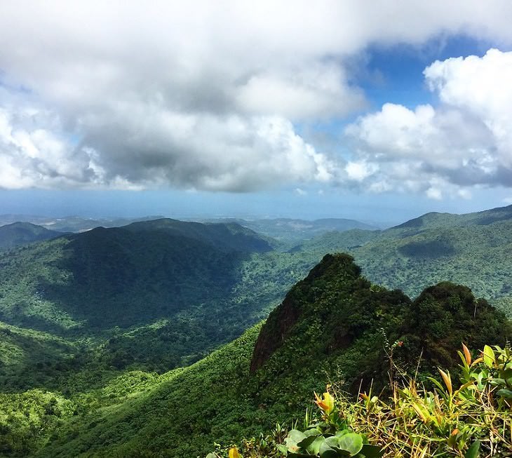 15 Sitios Naturales Maravillosos Bosque Nacional El Yunque Puerto Rico