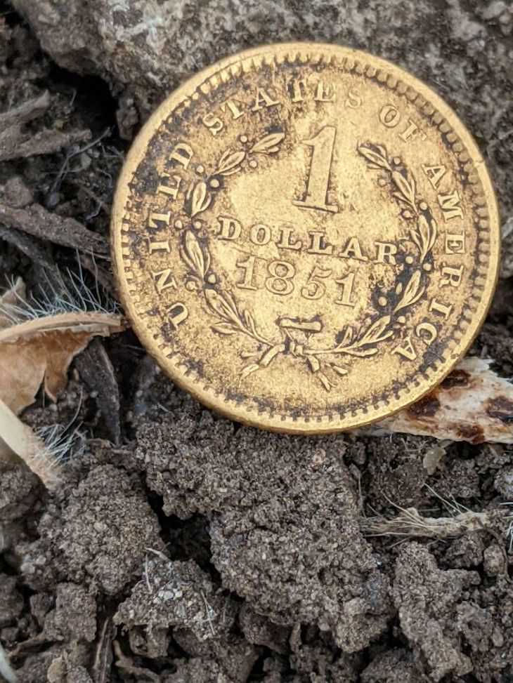 21 Cosas Descubiertas Por Detectores De Metales Moneda de un dólar de 1851
