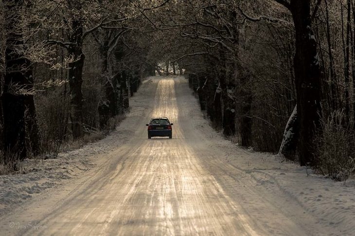 Encantadores Caminos Forestales De Polonia Carretera con nieve