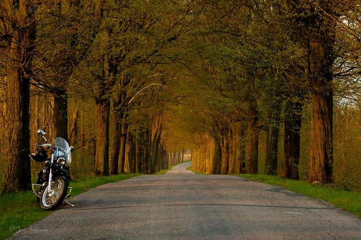 Encantadores Caminos Forestales De Polonia Motocicleta estacionada en el camino