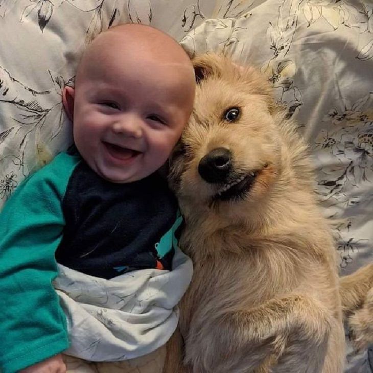 Animales Divertidos y Lindos Bebé y su perrito