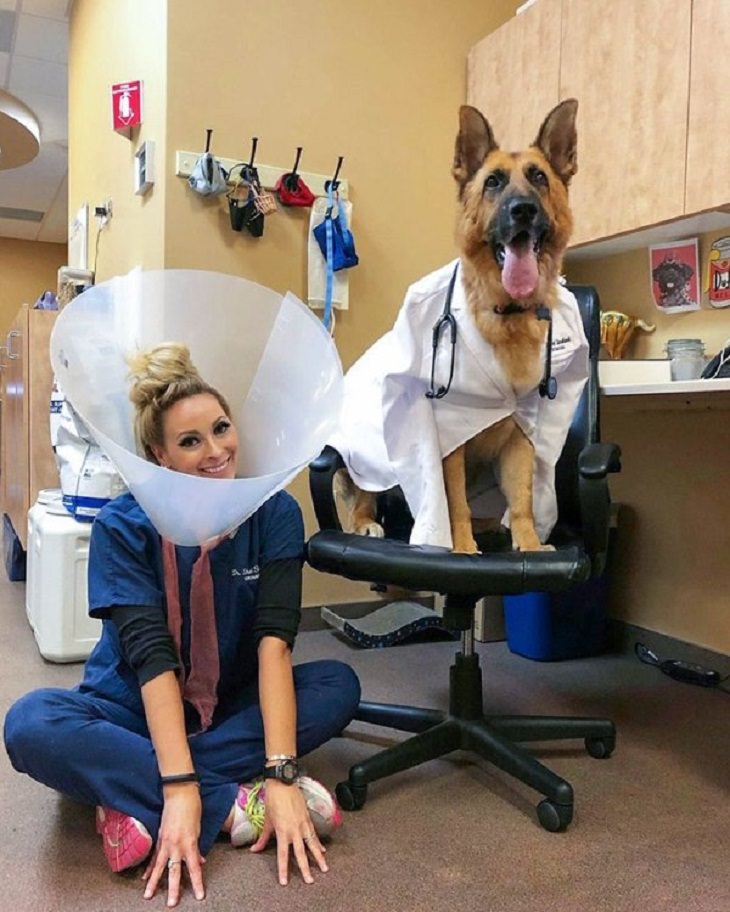 Veterinarios Con Sus Adorables Pacientes Perro vestido de doctor y su veterinaria