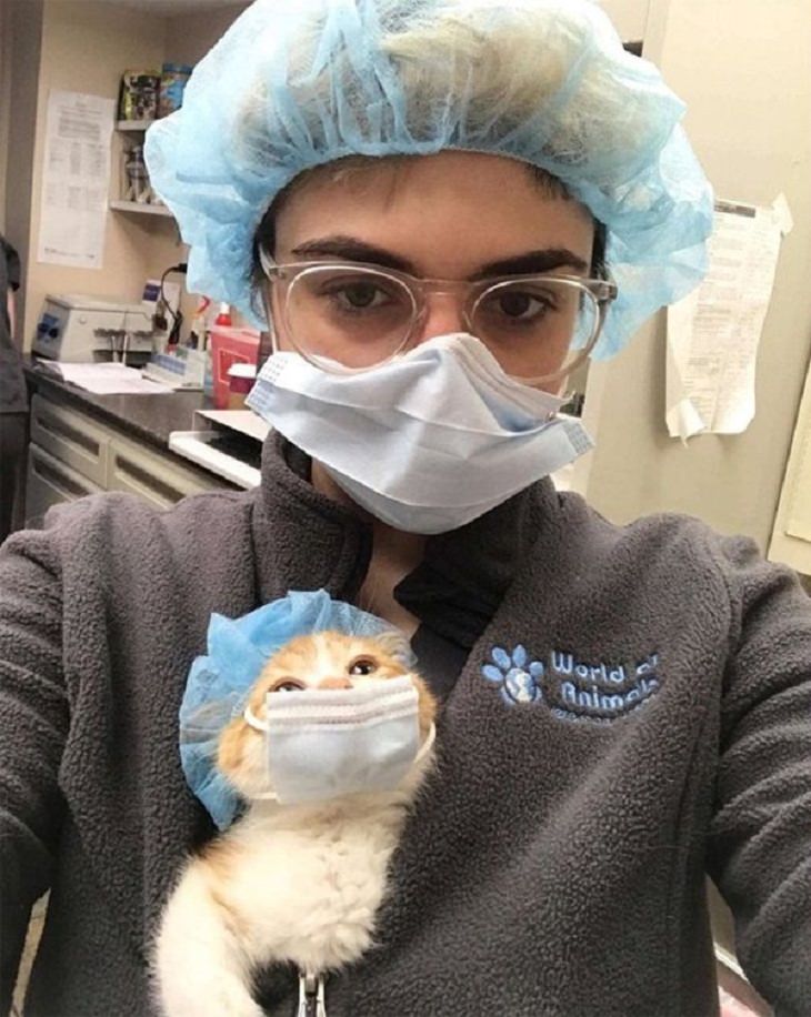 Veterinarios Con Sus Adorables Pacientes Gatito con gorro quirúrgico