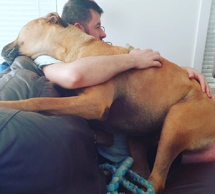 Amistad Entre Humanos y Animales Abrazo entre perro y humano