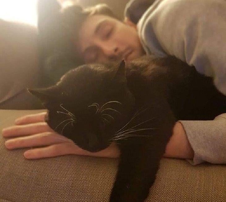 Amistad Entre Humanos y Animales Hombre duerme con su gato