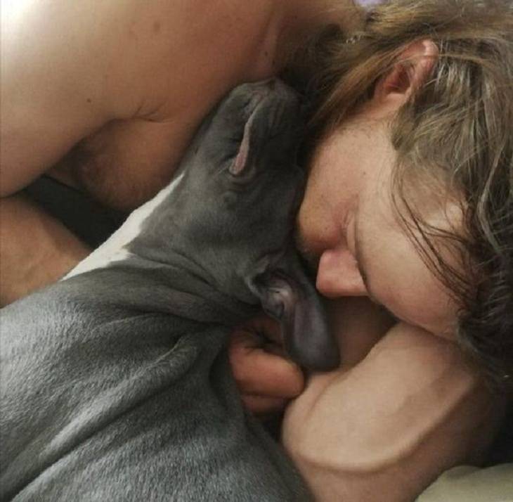 Amistad Entre Humanos y Animales Hombre y su perro durmiendo