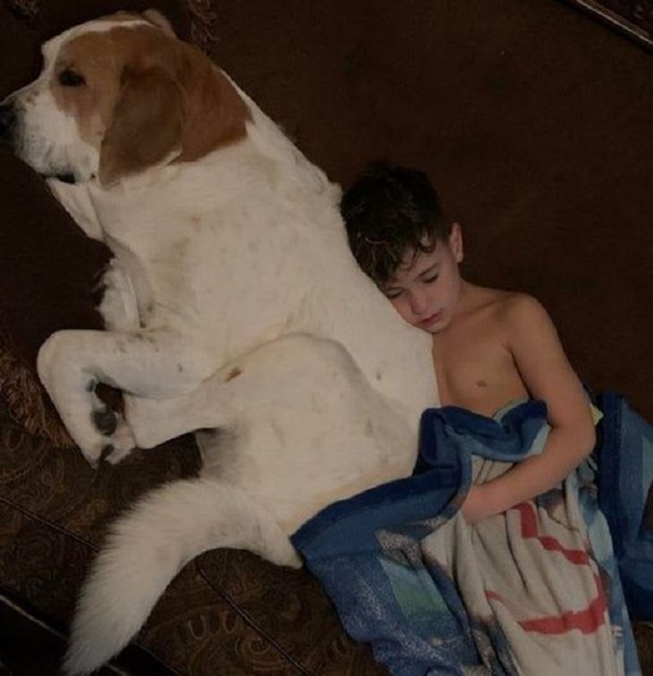 Amistad Entre Humanos y Animales Niño y su  perro