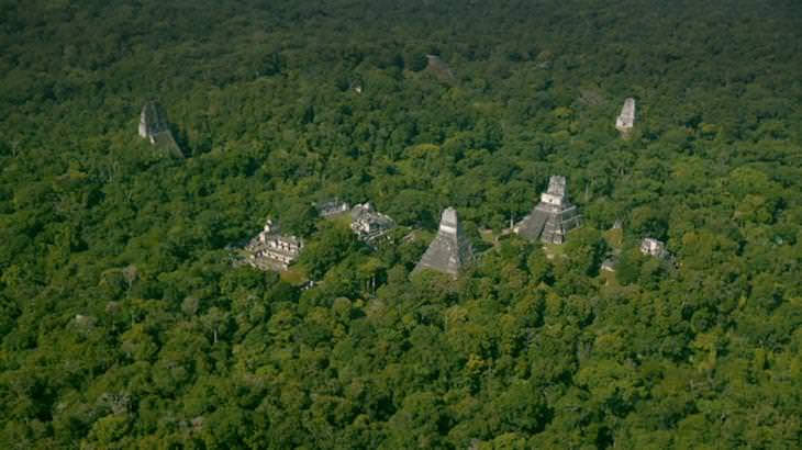 Tecnología De Vanguardia Revela Datos Sobre Los Mayas Fotografía cenital de la selva de Petén en Guatemala