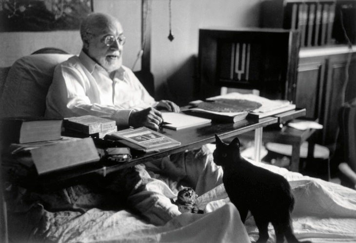 Personajes Famosos y Sus Gatos Henri Matisse