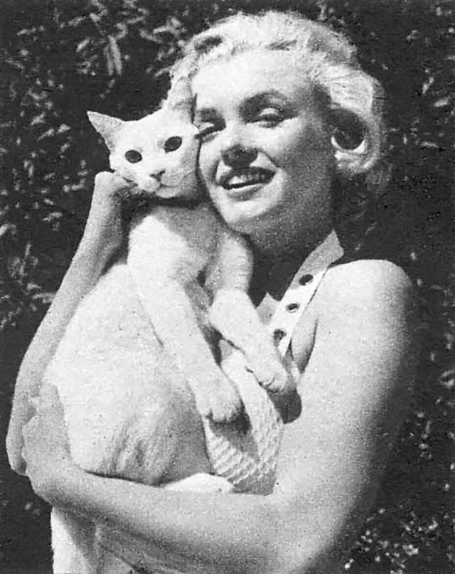 Personajes Famosos y Sus Gatos  Marilyn Monroe 