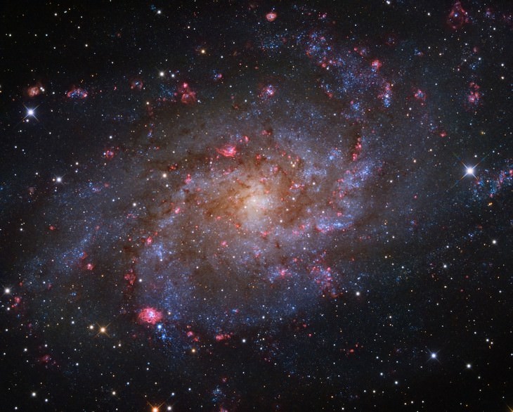  Fotos Nos Muestran El Espectactular Universo "M33: La galaxia del triángulo" de Rui Liao (China)