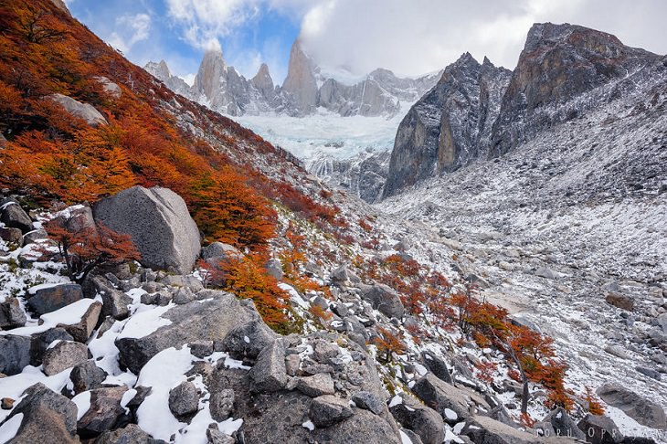 Otoño En La Patagonia Montañas rocosas