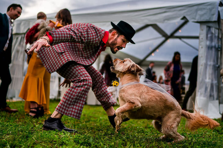 Perros En Fotos De Bodas Perro bailando en boda