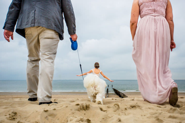 Perros En Fotos De Bodas Perro escondido en imagen de boda