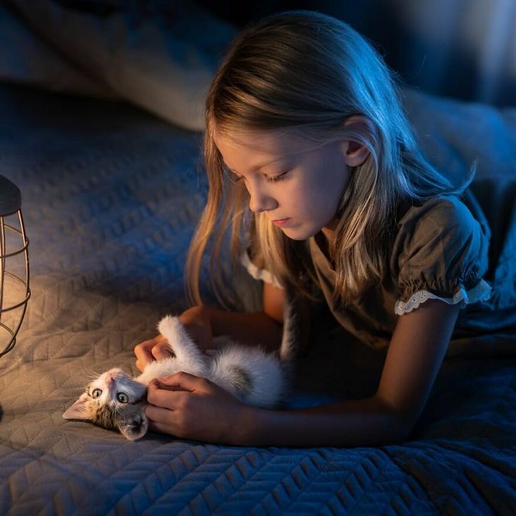 Fotos Mágicas Que Capturan El Encanto De La Infancia, Niña jugando con su gatito