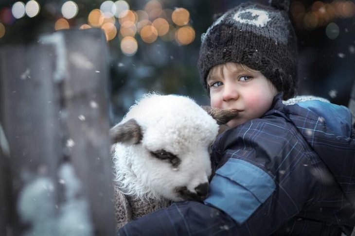 Fotos Mágicas Que Capturan El Encanto De La Infancia, Niño y una oveja