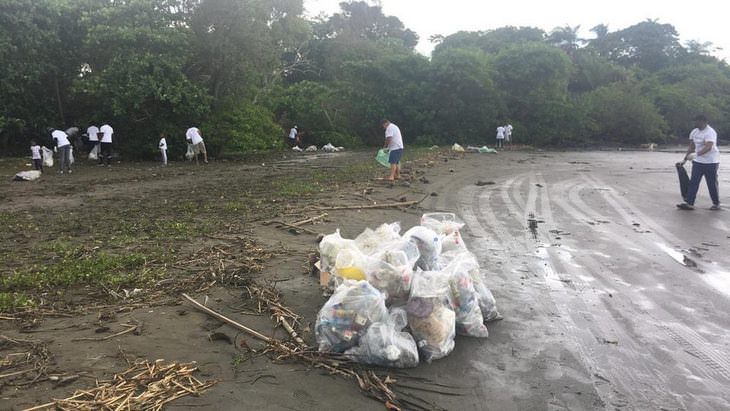 Reto Recoger Basura, personas recogiendo basura en la playa y en los árboles
