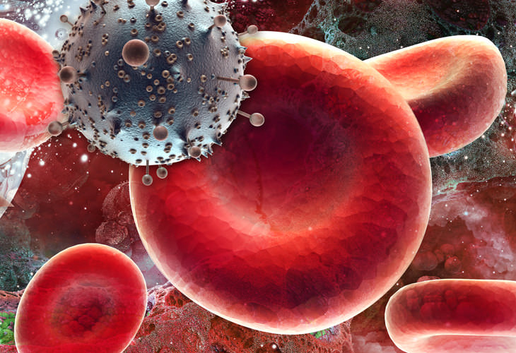 Investigación Cura Para El VIH, glóbulos rojos