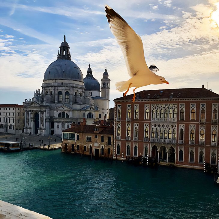 Preciosos paisajes, Venecia, Italia 