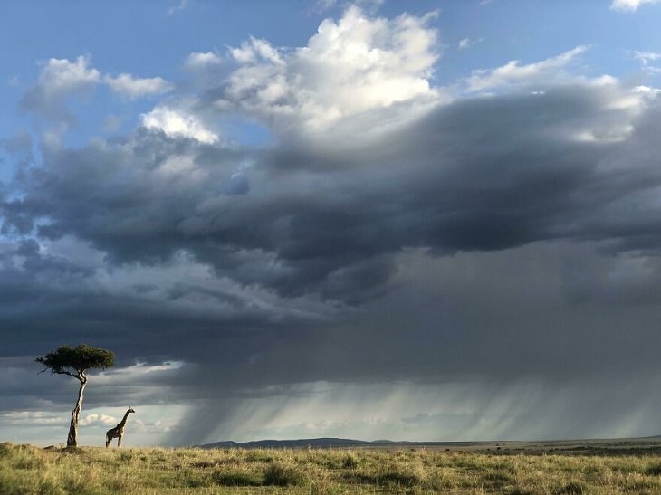 Preciosos paisajes, Masai Mara , kenia