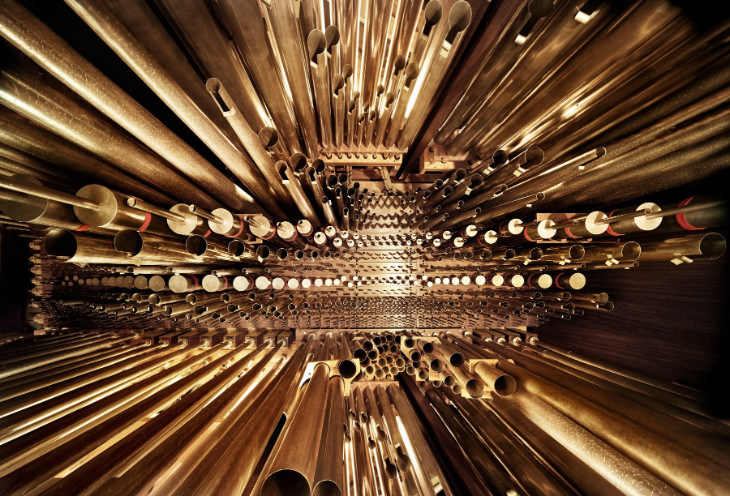 El interior de los instrumentos, un órgano