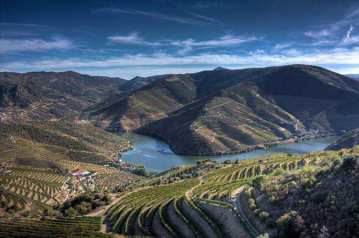 Los viñedos Mas famosos del mundo. Valle del duero, Portugal