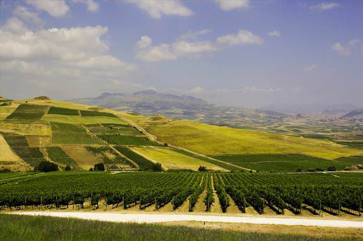 Los viñedos Mas famosos del mundo, Sicilia, Italia